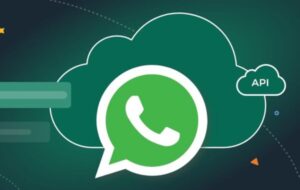 Read more about the article Enhance Business Communication with WhatsApp API in Amritsar
